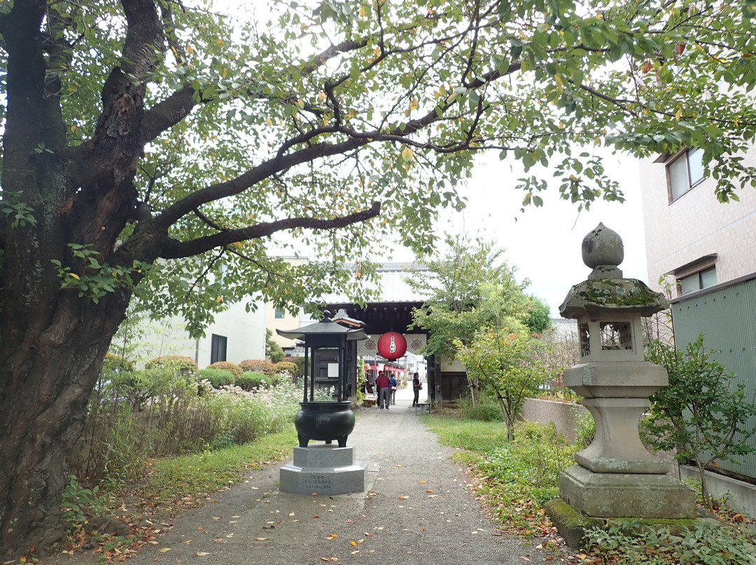Nozawa Narita-san Yakushiji Temple-佐久市必去景点