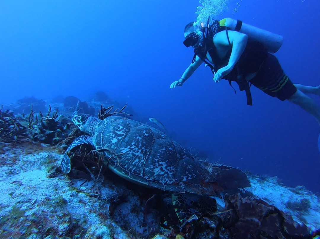 Santa Rosa Wall-考祖梅必去景点