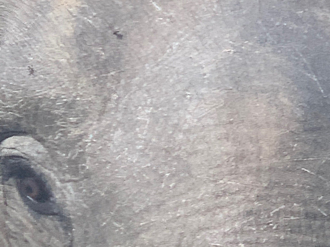 Wasgamuwa National Park-波隆纳鲁瓦必去景点