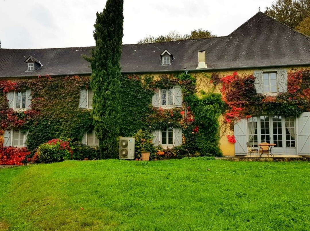 Maison estratte主图