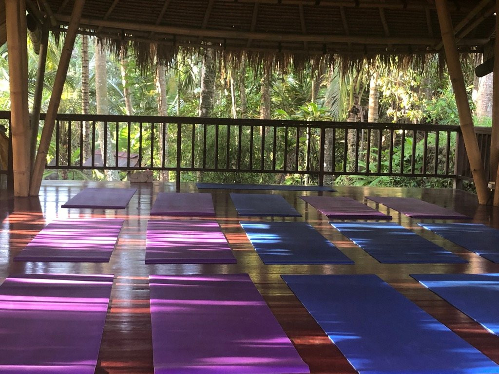 The Yoga House主图