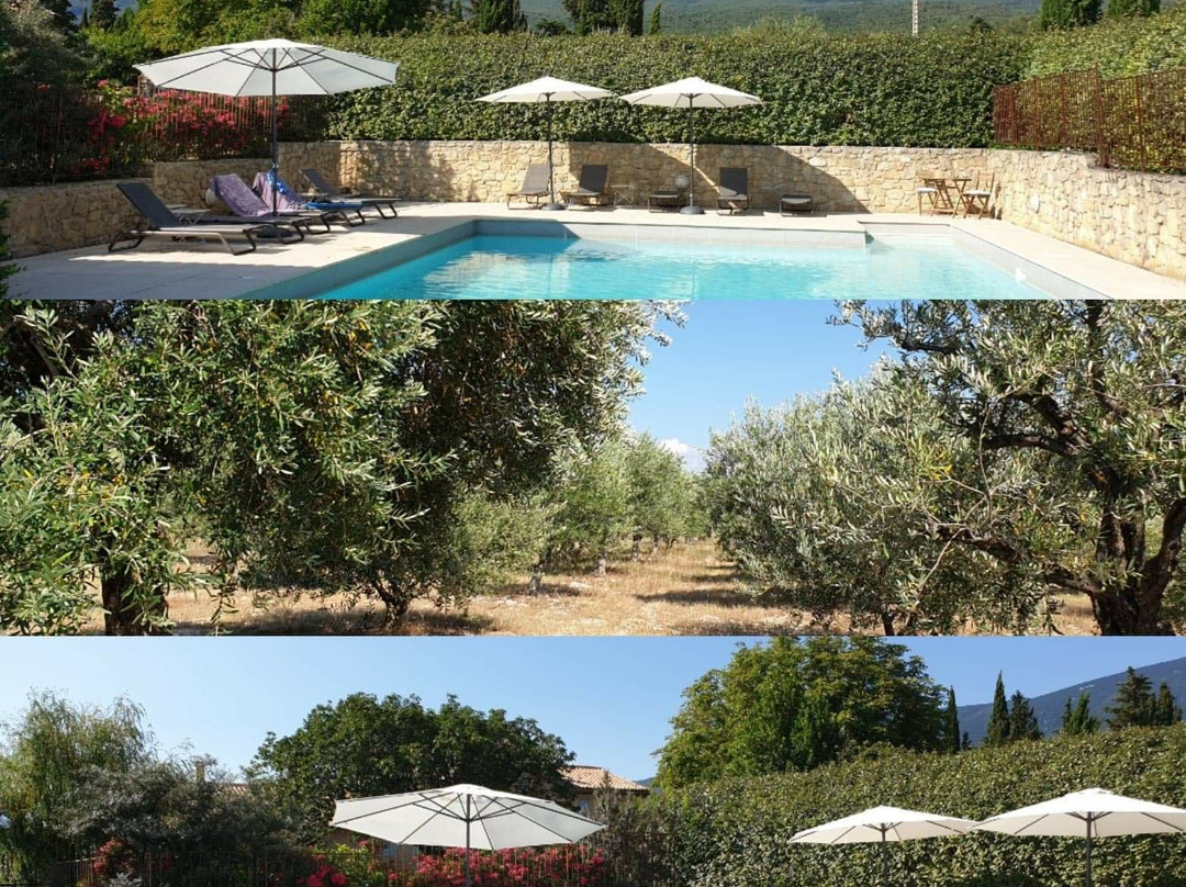 Mas des Olives主图