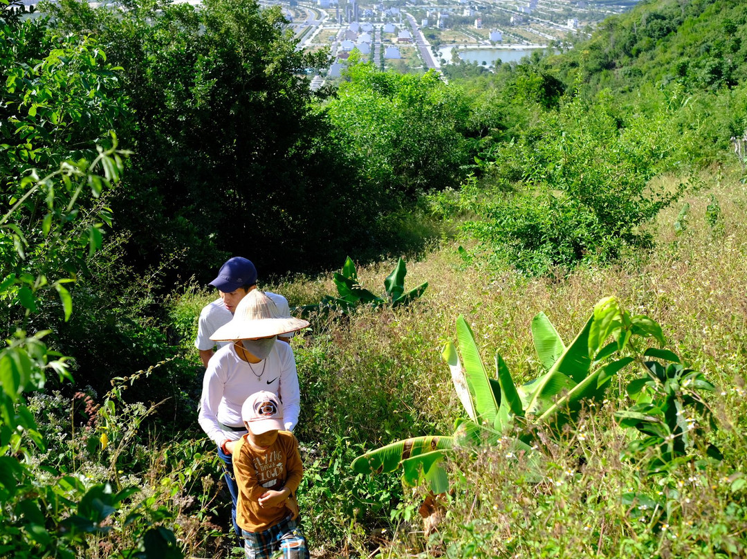 Golden Bay Hotel主图