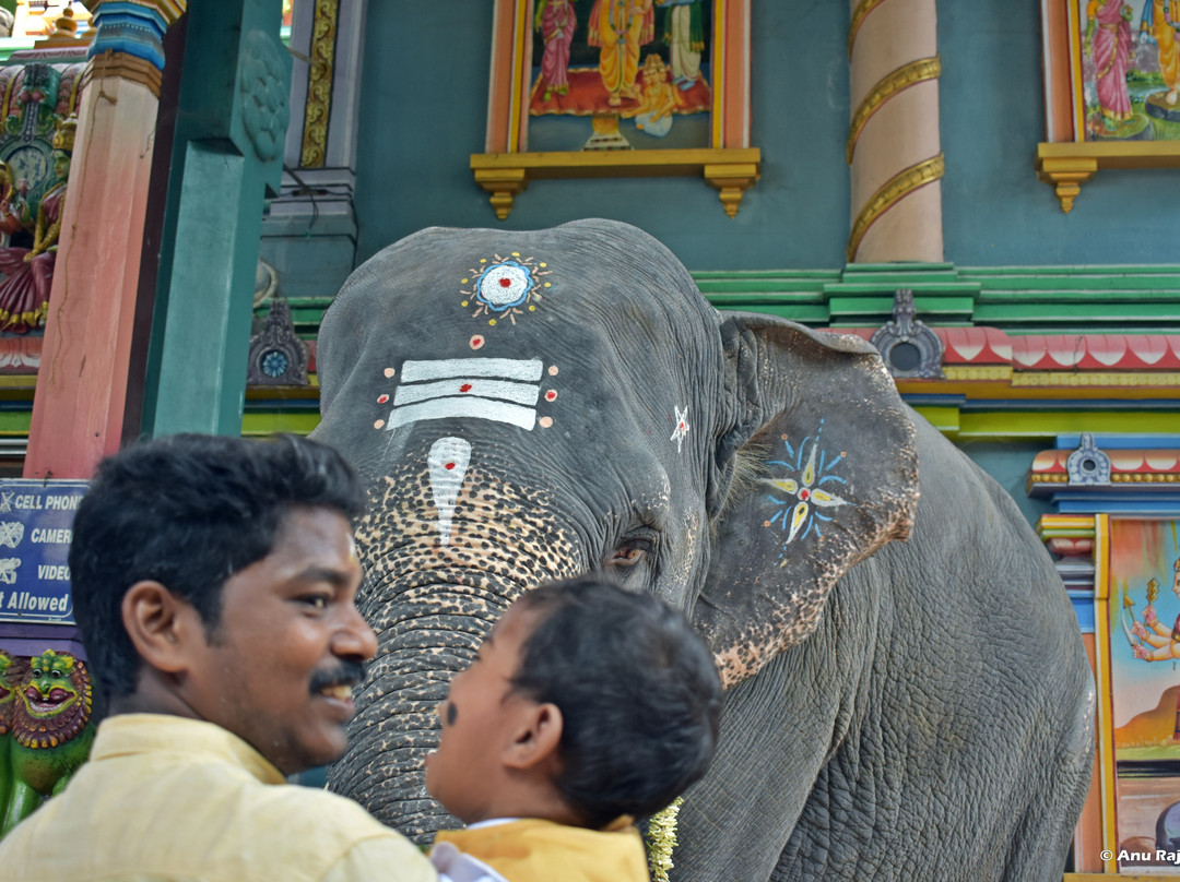 Arulmigu Manakula Vinayagar Temple景点图片