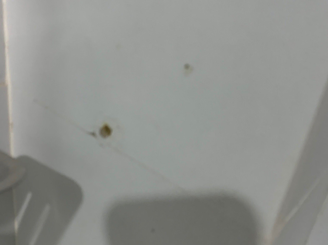 Robinland Vacation Home Badian主图