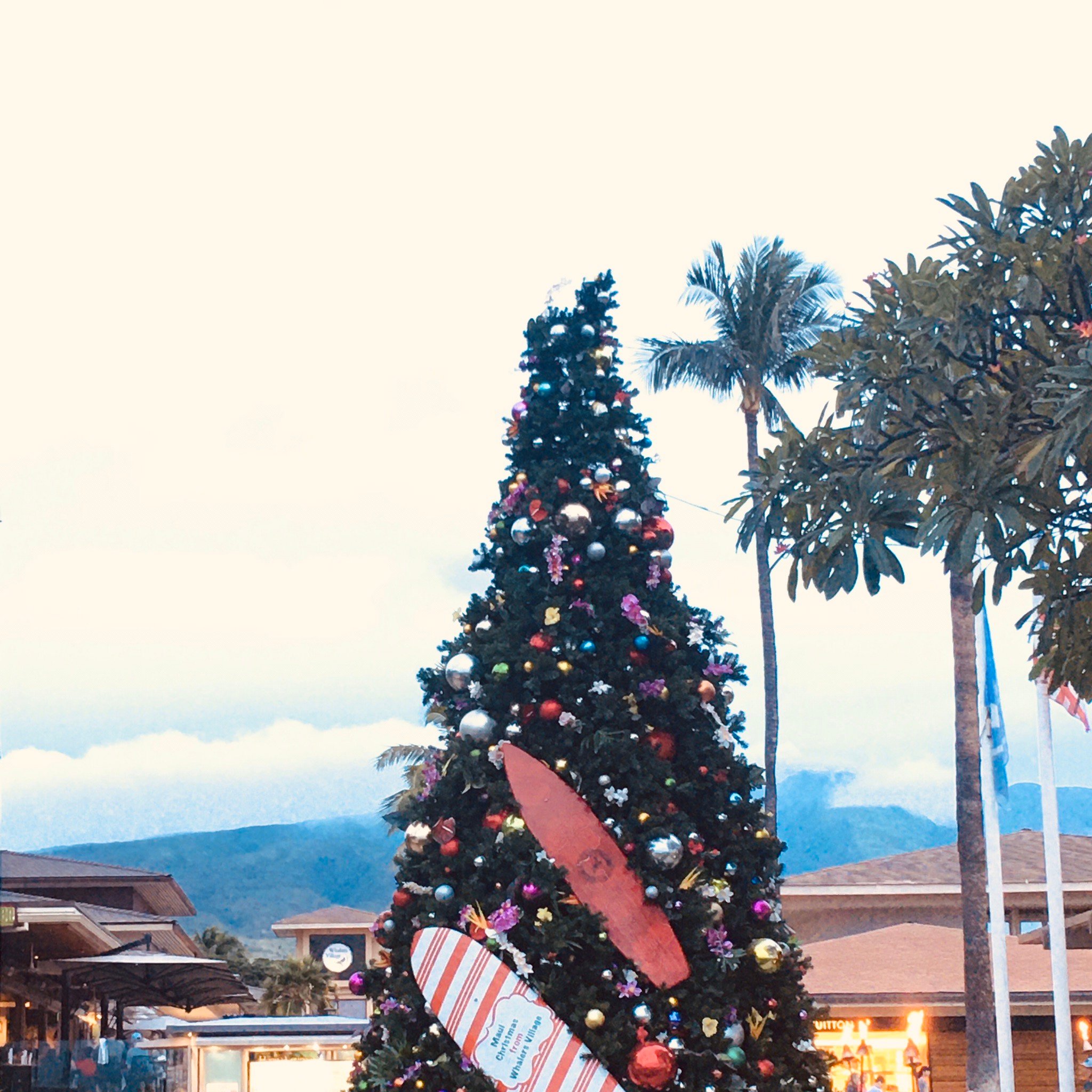 Whaler Inn Beach Club-官方