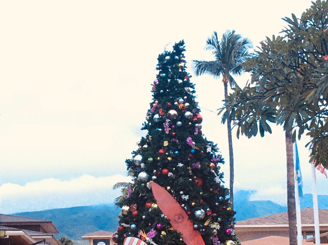 Whaler Inn Beach Club主图