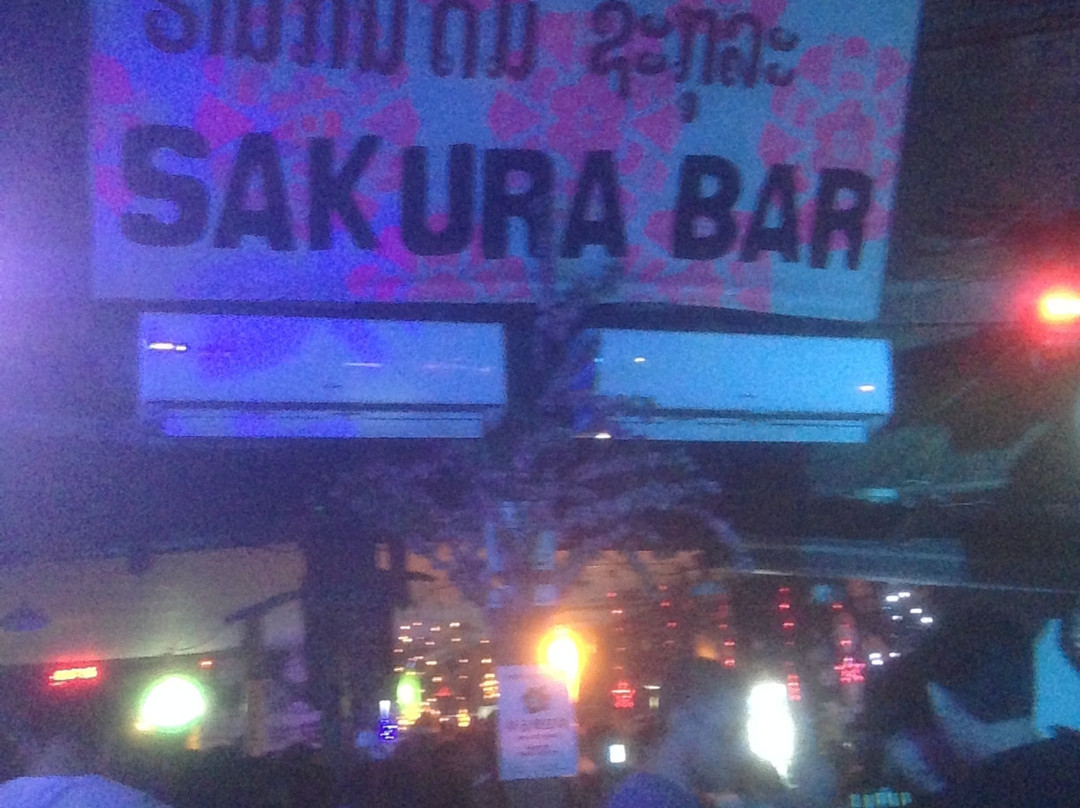 樱花酒吧-旺阳必去景点