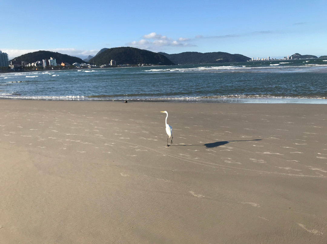 Brejatuba Beach-瓜拉图巴必去景点