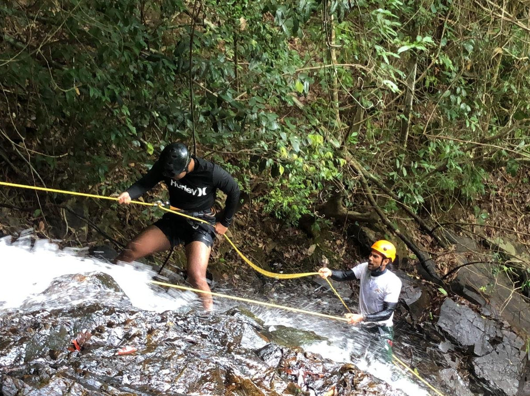 Jungle Xperience Suriname景点图片