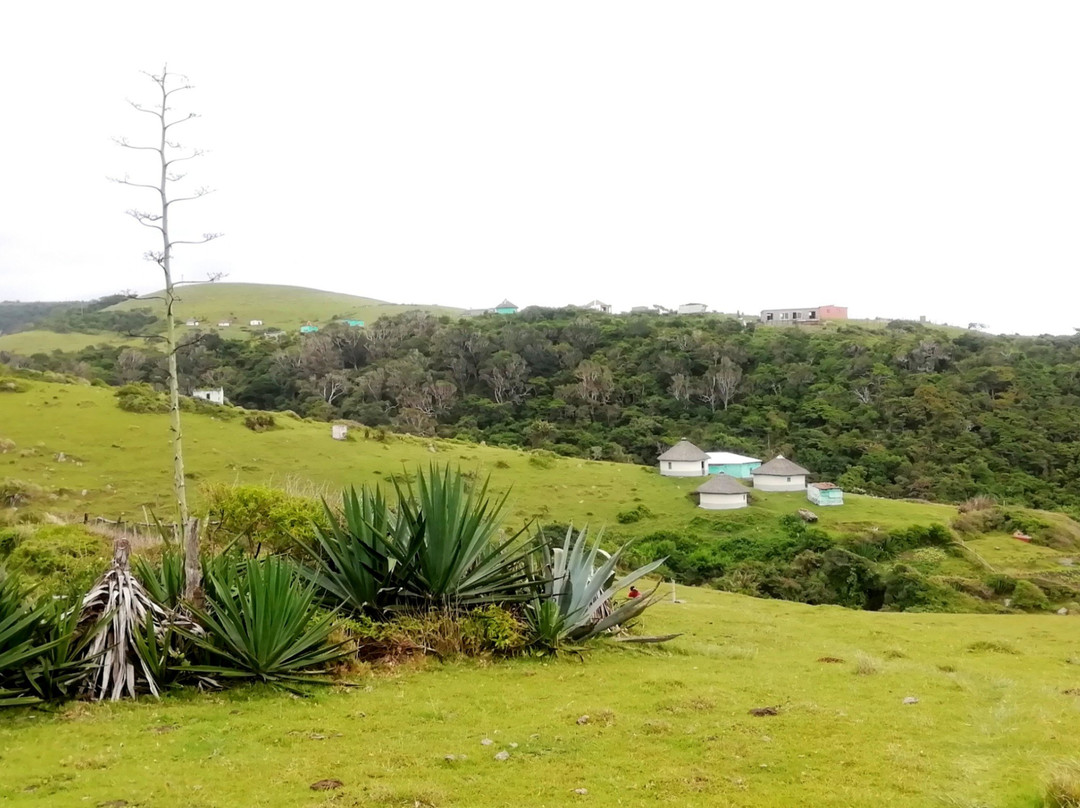 Coffee Bay Beach-Coffee Bay必去景点