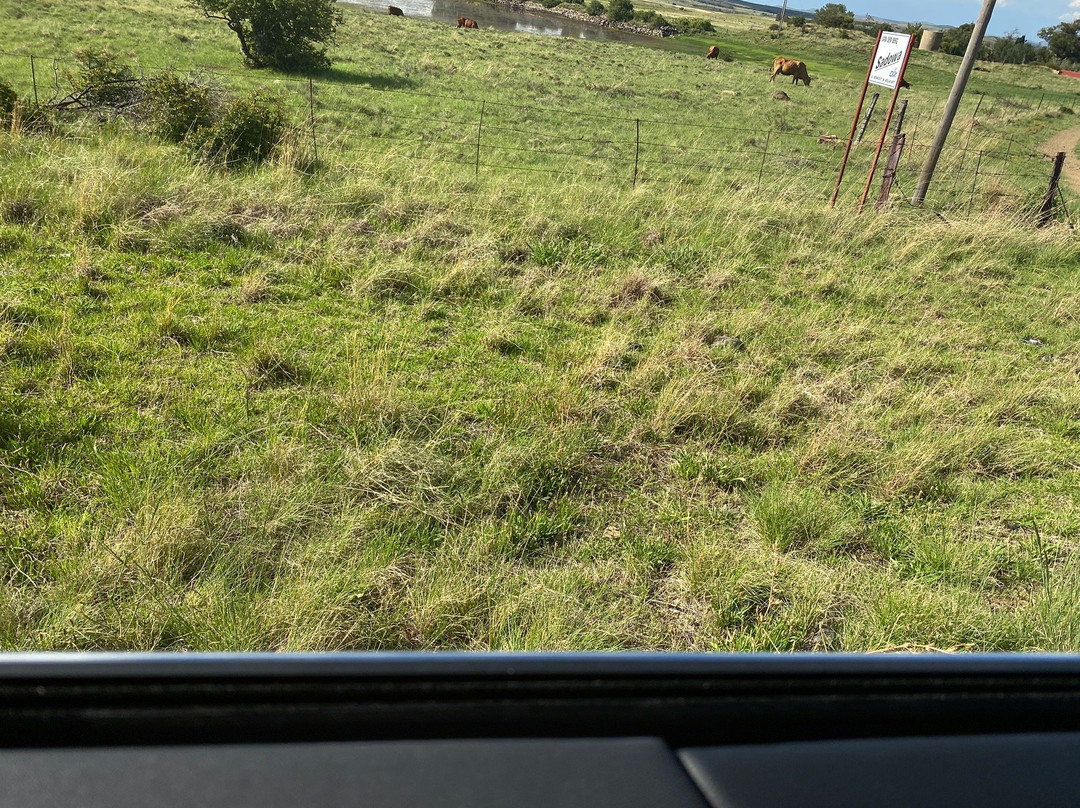 Highlands Guest House主图