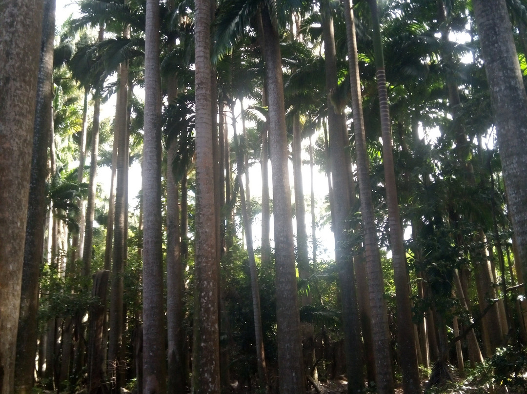 Mkg Centre Nautique-Deshaies必去景点