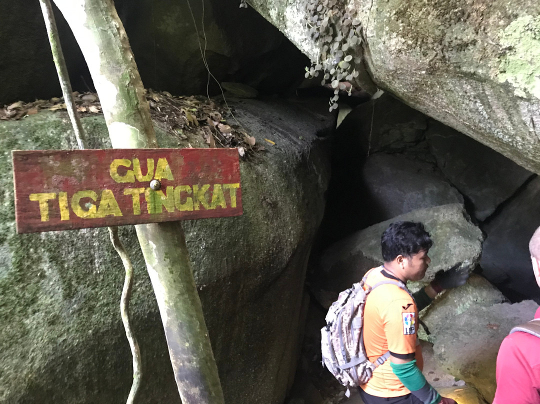Bukit Batu Lebah Recreational Forest景点图片