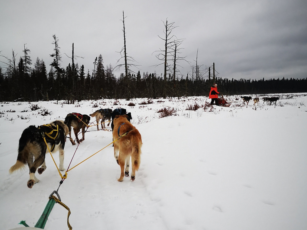 Vie d'Avant-Ture-Mont-Saint-Michel必去景点