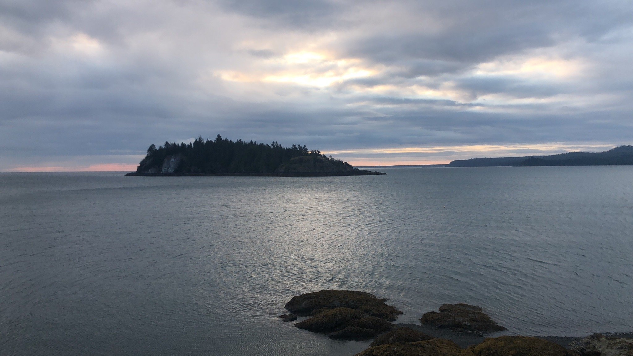 Jags Beanstalk-官方