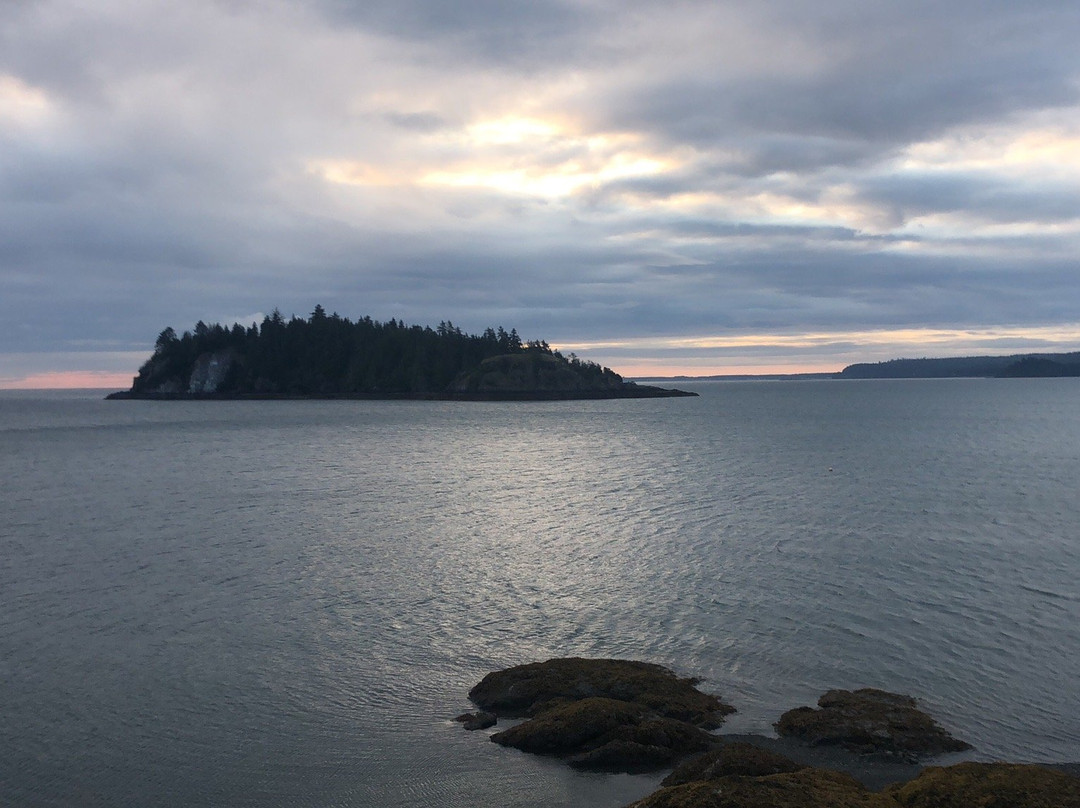 Jags Beanstalk主图