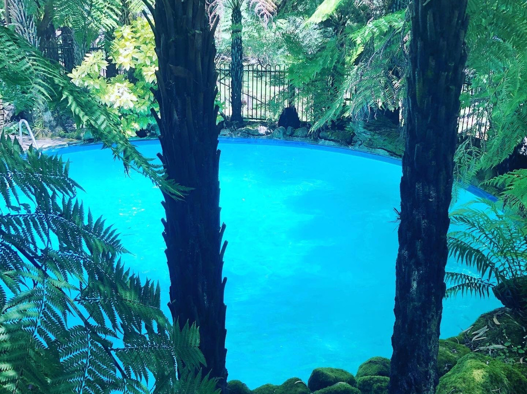 Whistle-Stopover主图