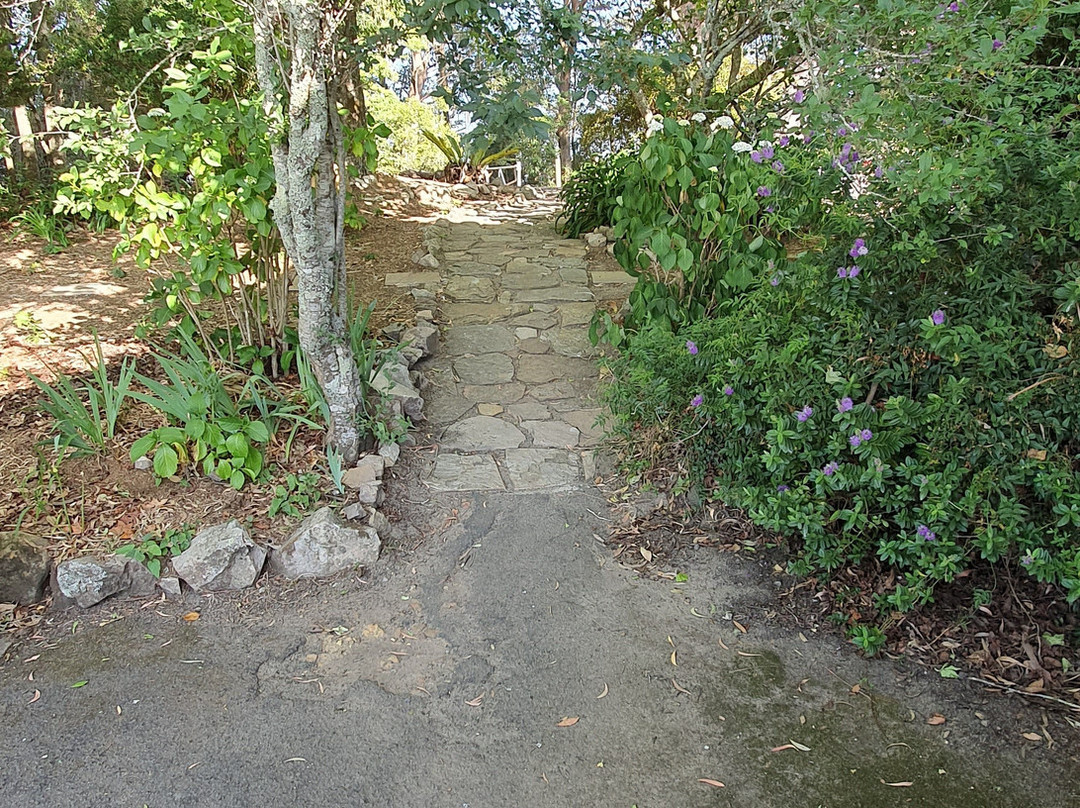 Cambewarra Mountain Lookout景点图片