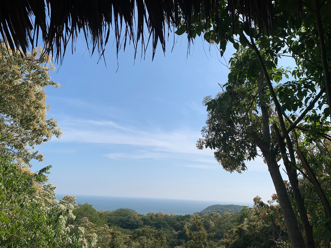 Las Almas Petit Hotel主图