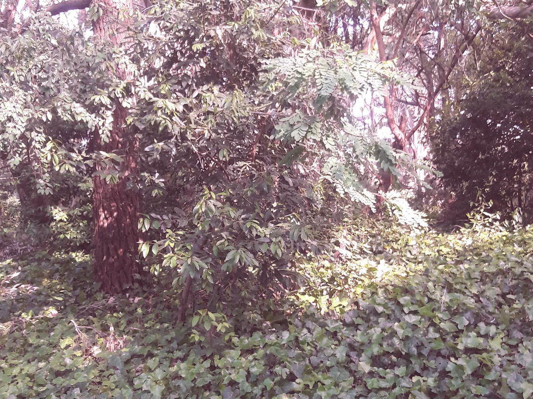 La Casa de Carlos Gesell-Villa Gesell必去景点