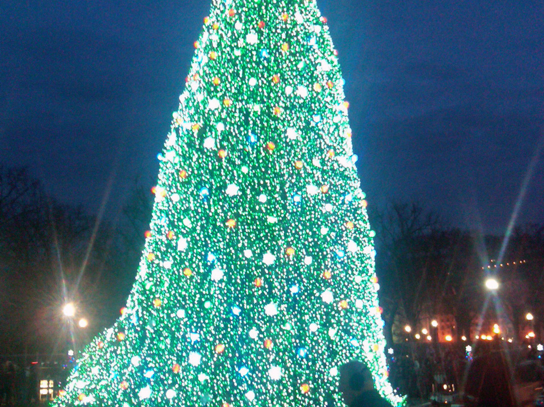 National Christmas Tree景点图片