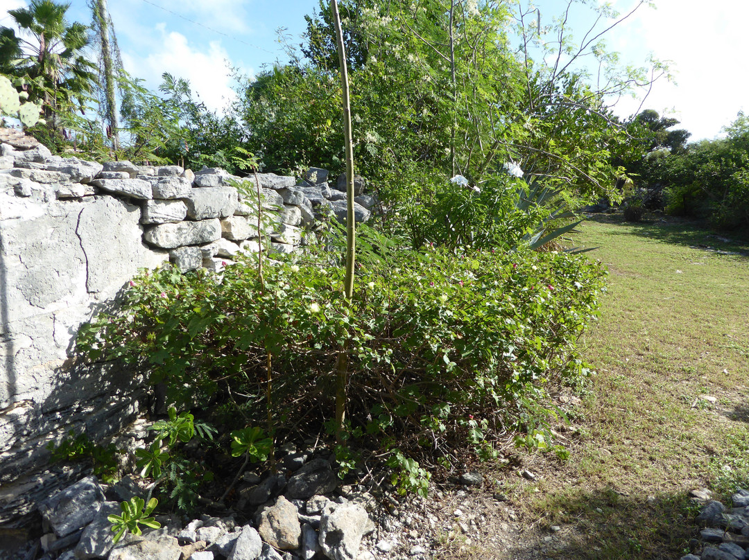 Cheshire Hall Plantation-普罗维登西亚莱斯必去景点