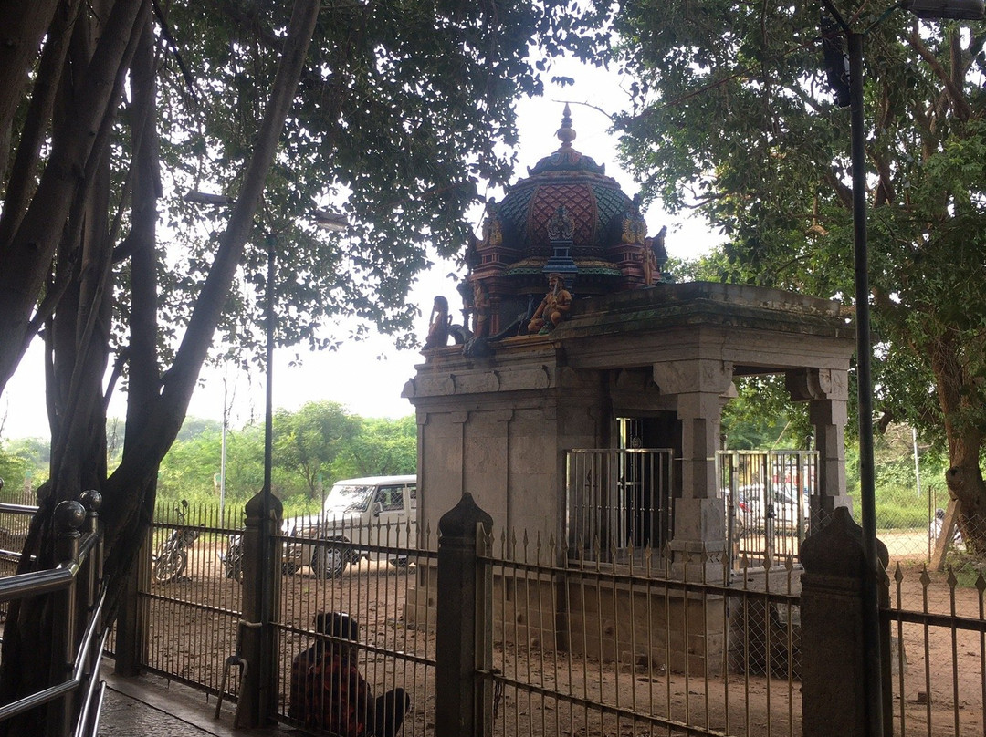 Arulmigu Abathsagayeswarar Temple景点图片