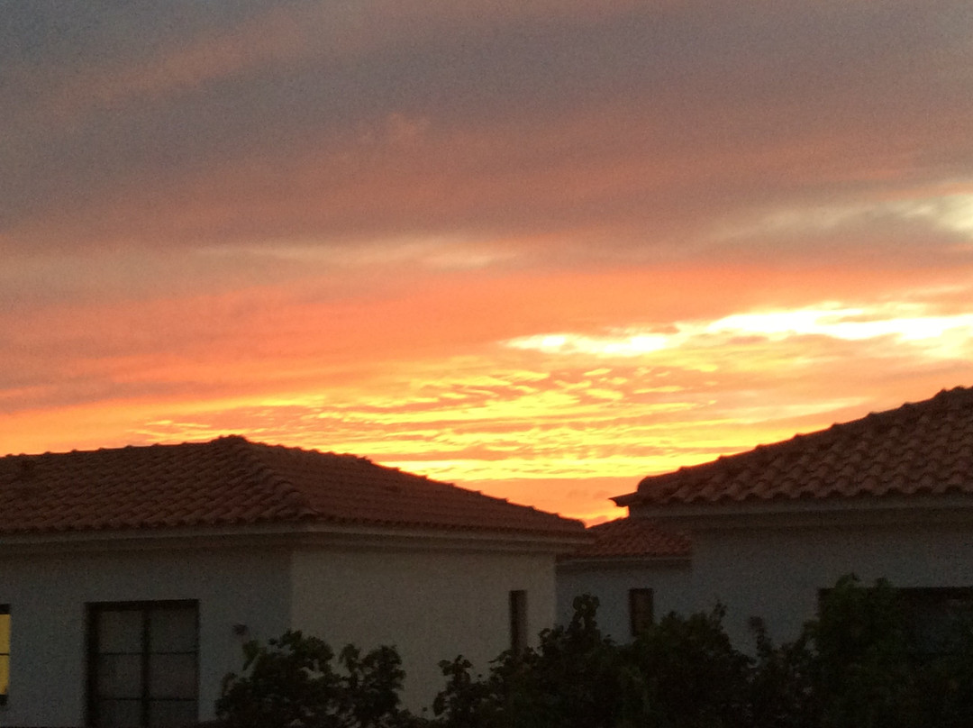 Meliá Tortuga Beach主图