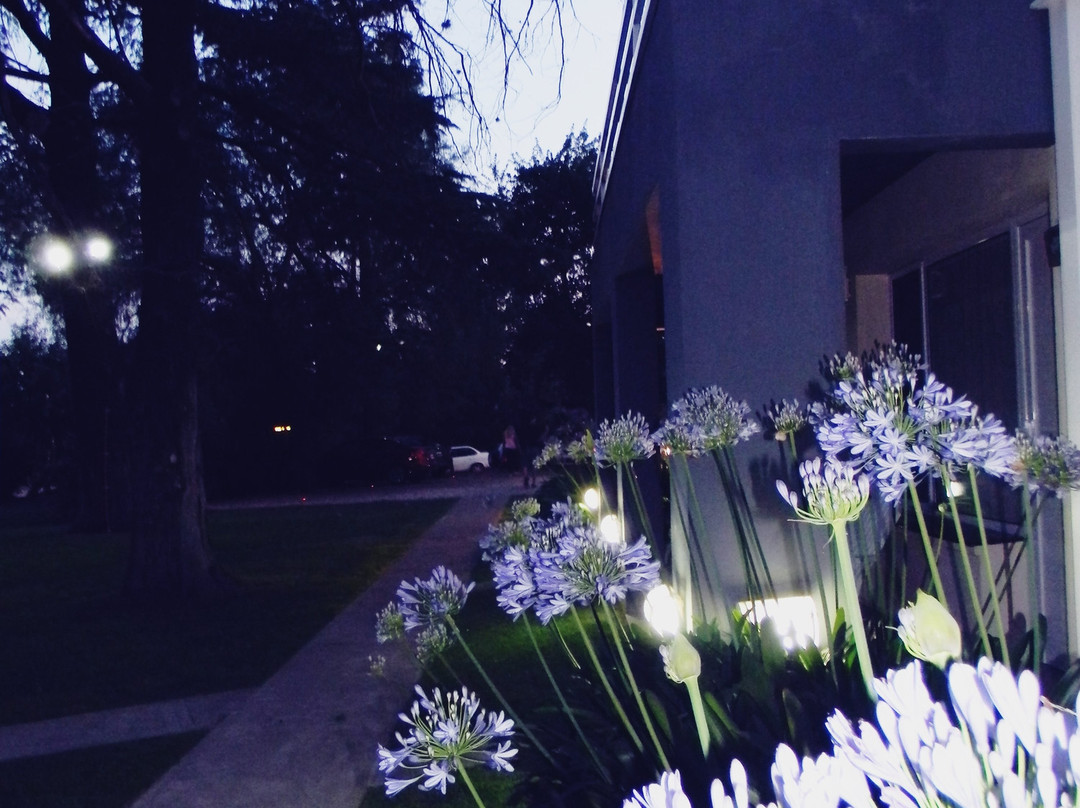 Apart Hotel Naga Huel主图