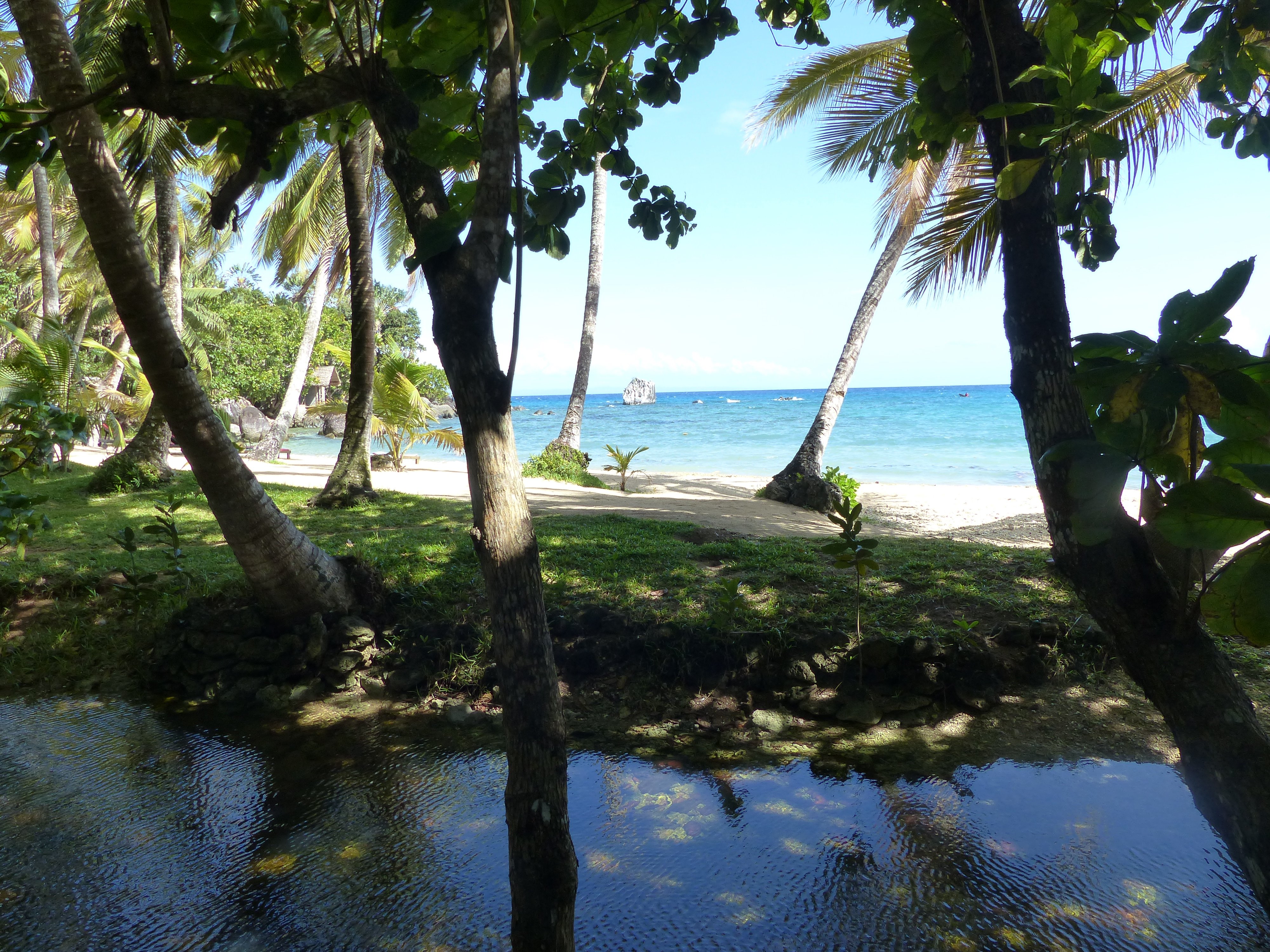 Natiora Green Lodge-泳池