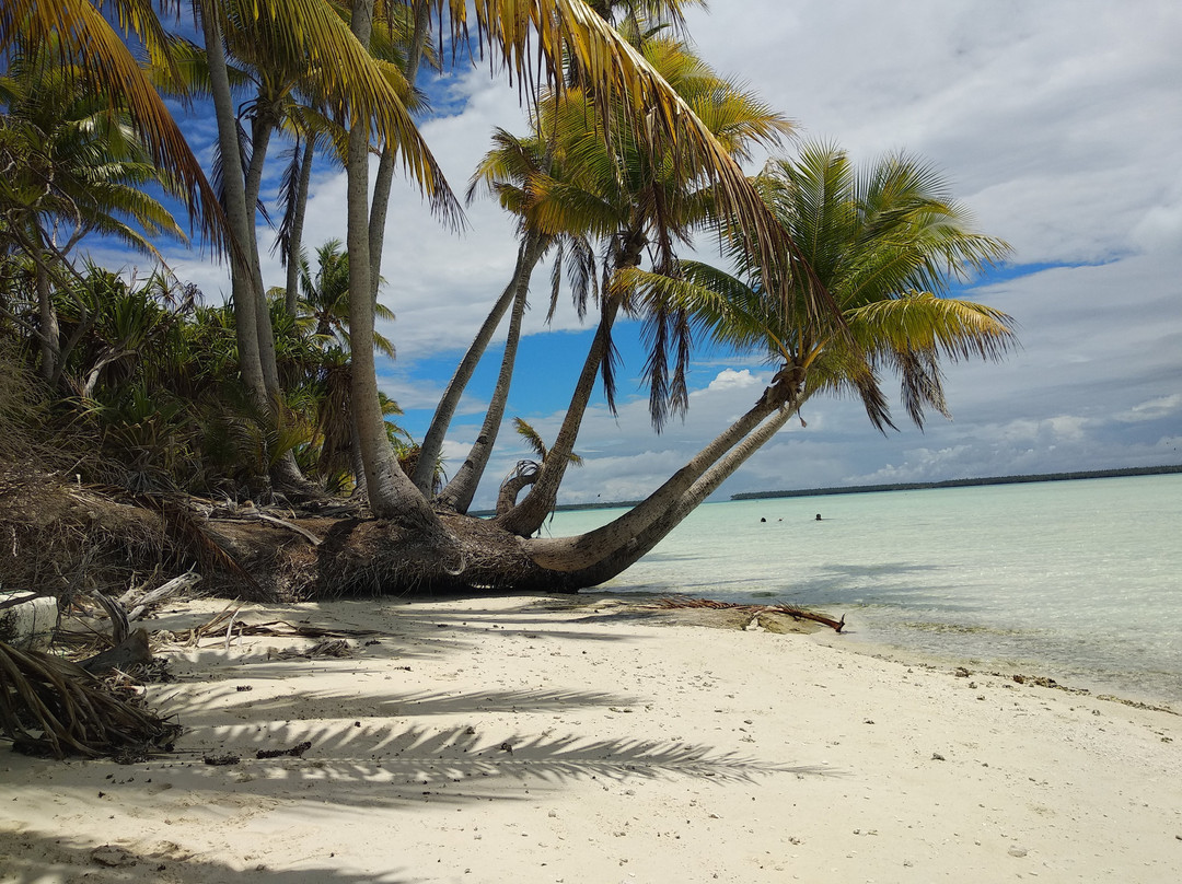 Excursion Tetiaroa-帕皮提必去景点