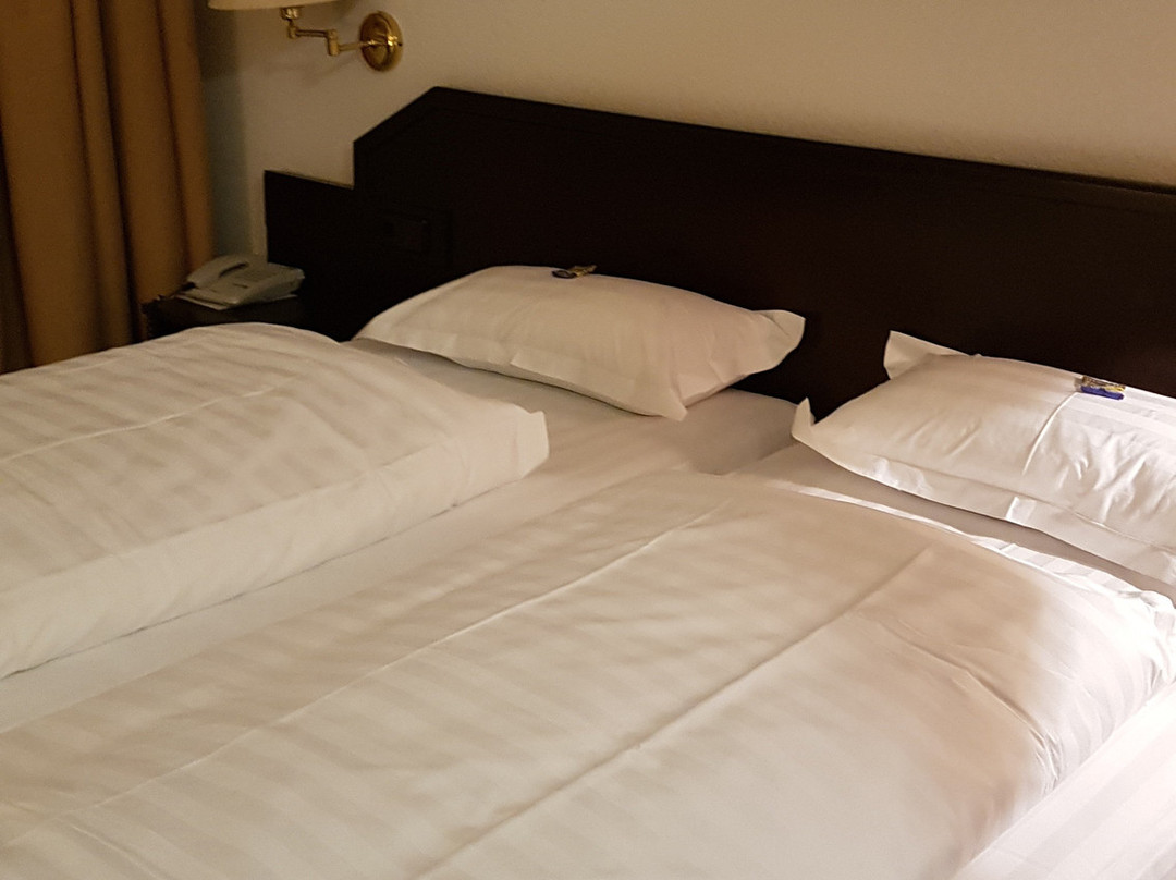 Hotel & Restaurant Danner主图