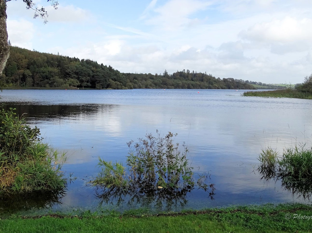 Lough Muckno Leisure Park-Monaghan必去景点