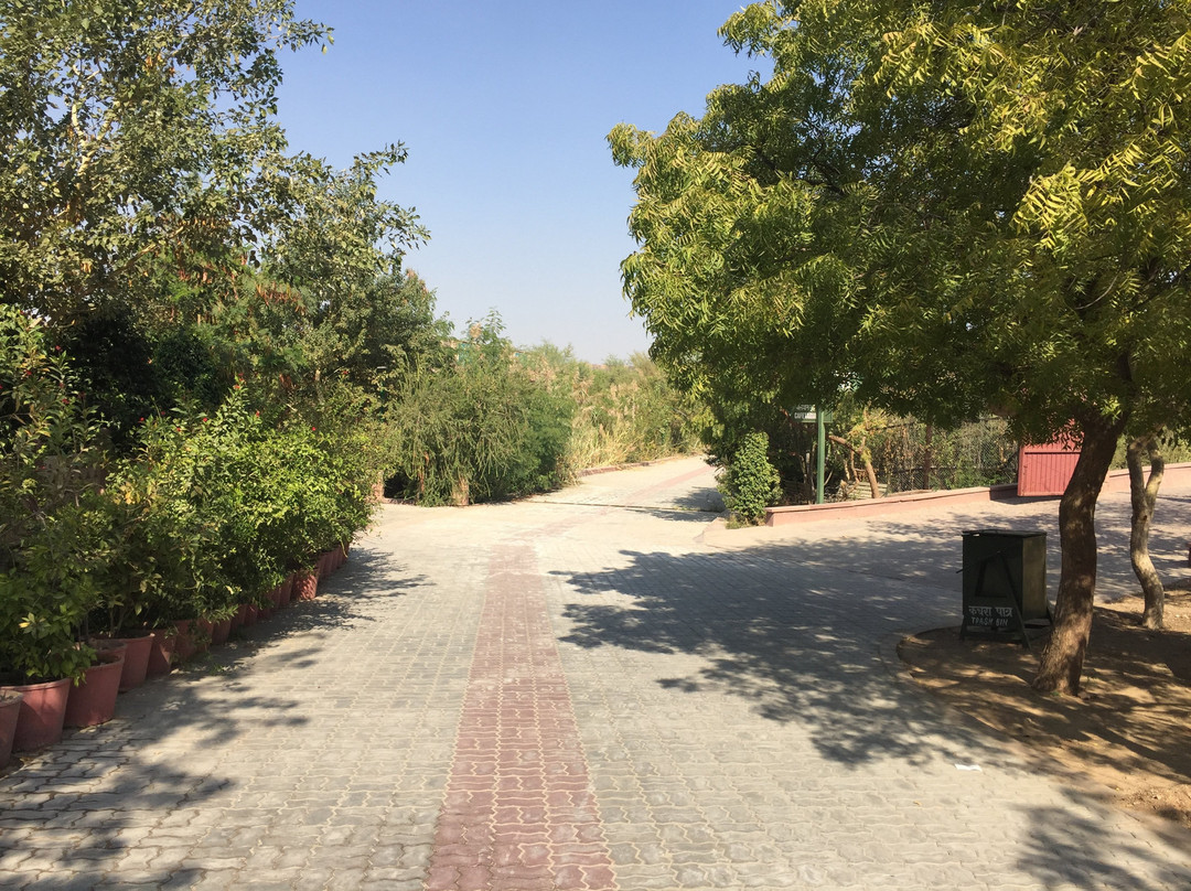 Machia Biological Park景点图片
