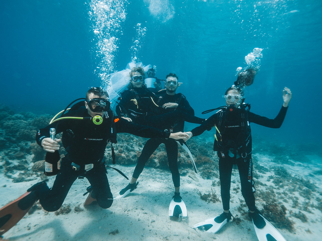 Dofleini Dive Center景点图片