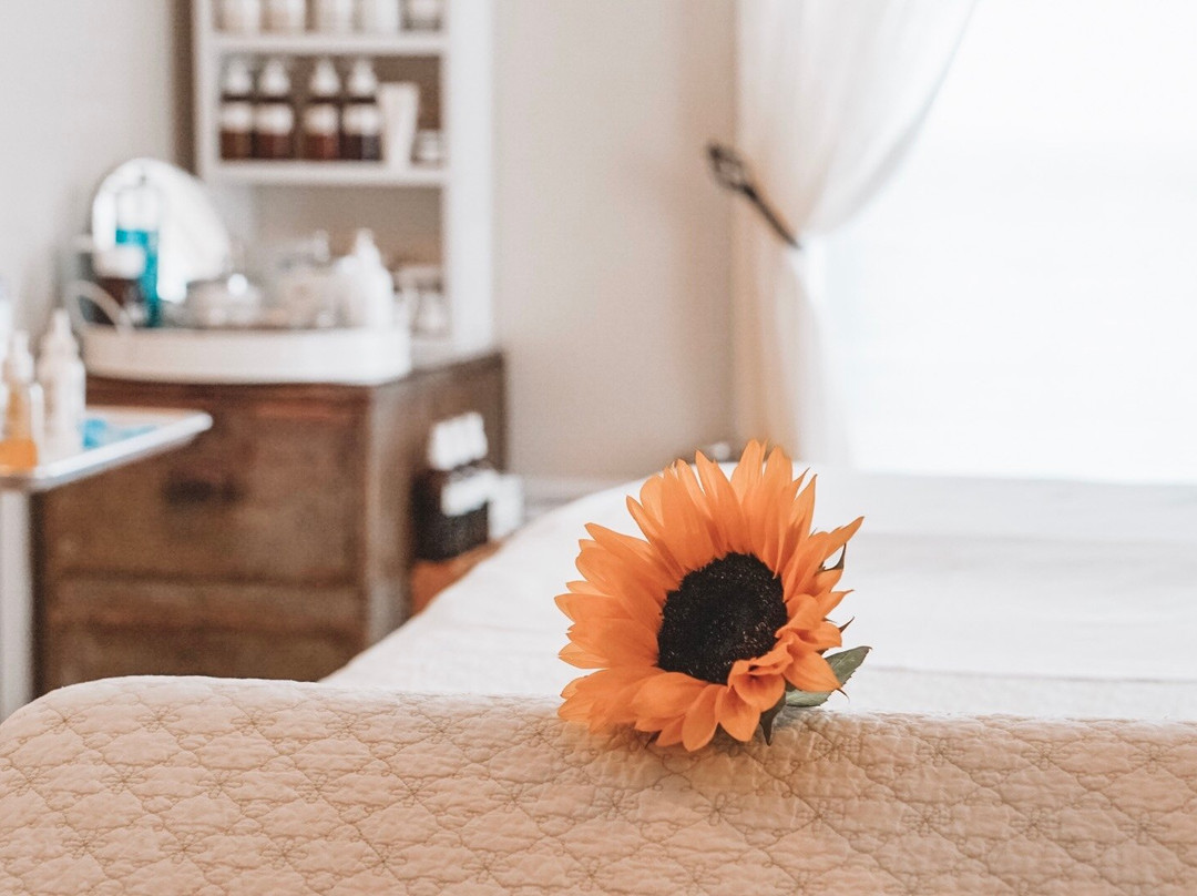 Meredith Whole Living Center-梅勒迪斯必去景点