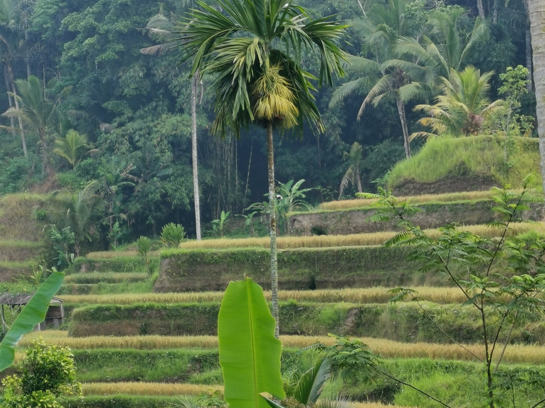Tulamben Beach-图兰本必去景点