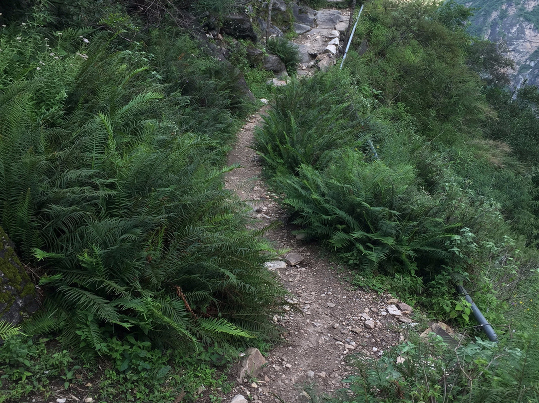 哈巴山小路景点图片