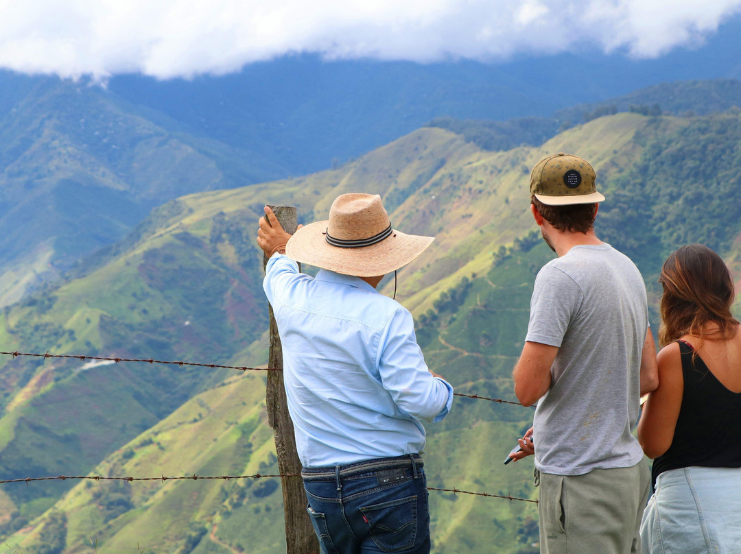 Coffee Tours - Finca La Manchuria-Salgar必去景点