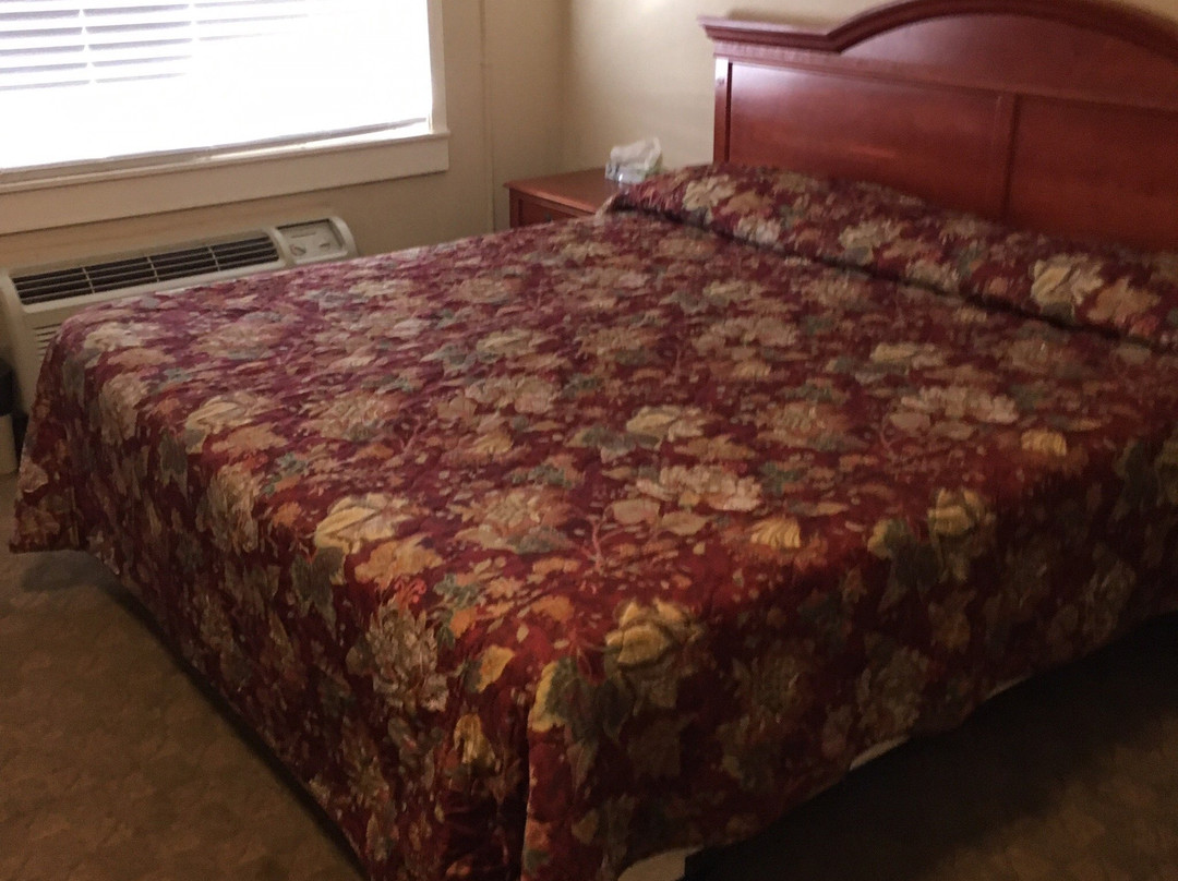 Majestic Inn & Suites主图