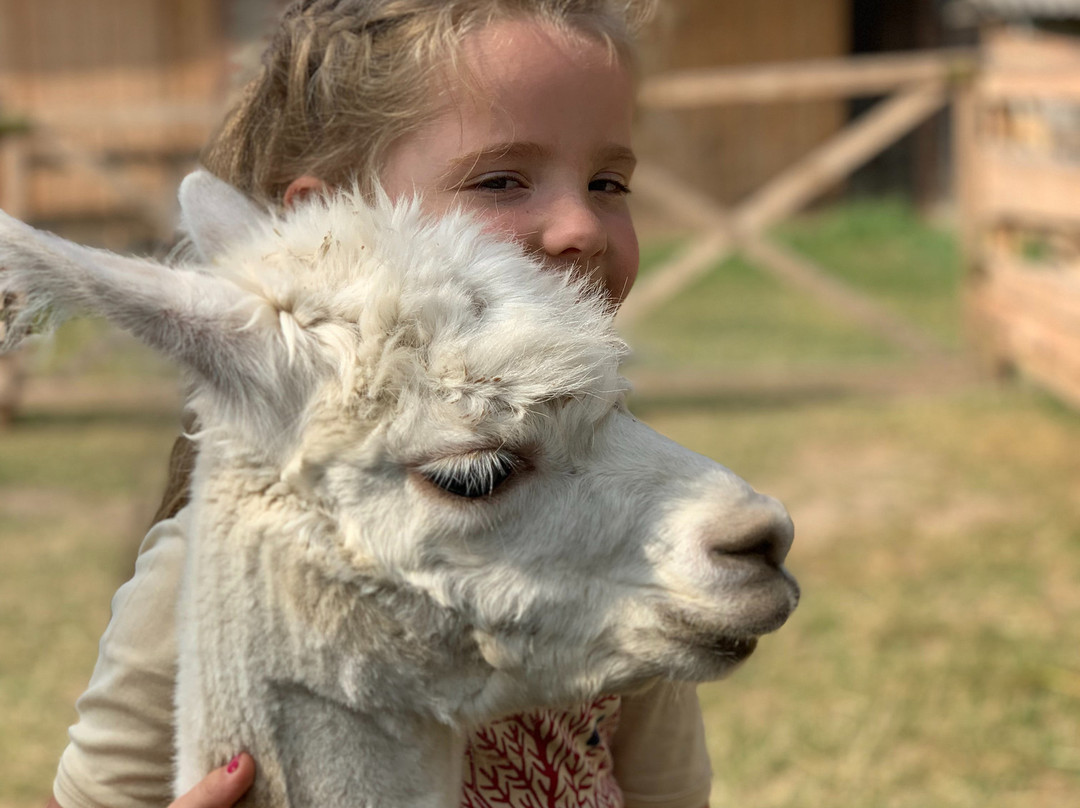 Alpaki Roztocze-Zaburze必去景点