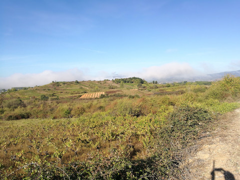 CIVI Camponaraya-Camponaraya必去景点