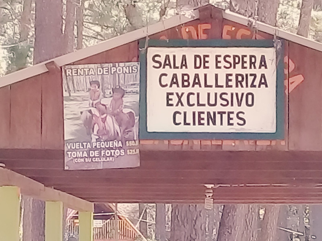 Grutas de Rancho Nuevo景点图片