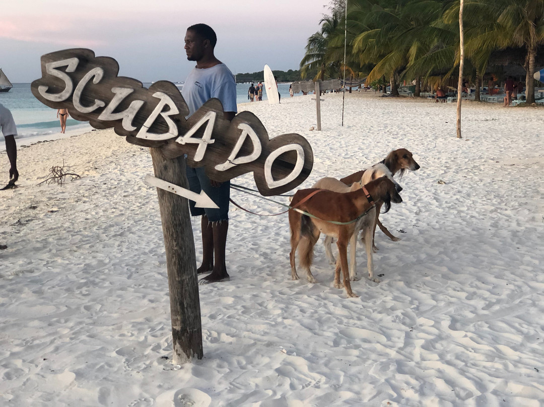 Scuba Do Zanzibar-Kendwa必去景点