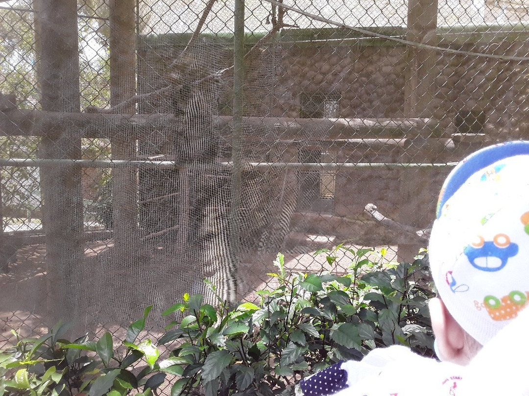 Parque Zoobotanico de Brusque-Brusque必去景点