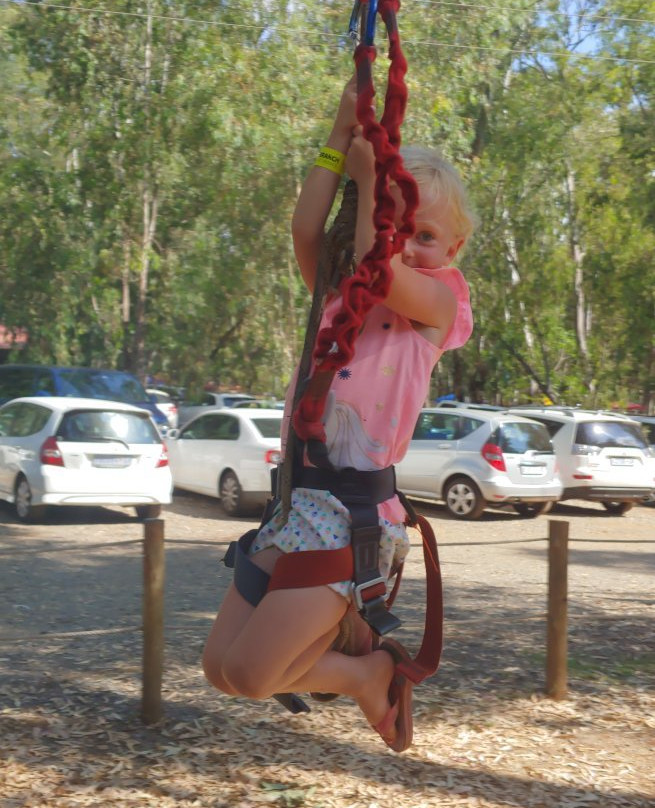 Acrobranch Centurion-三图里恩必去景点