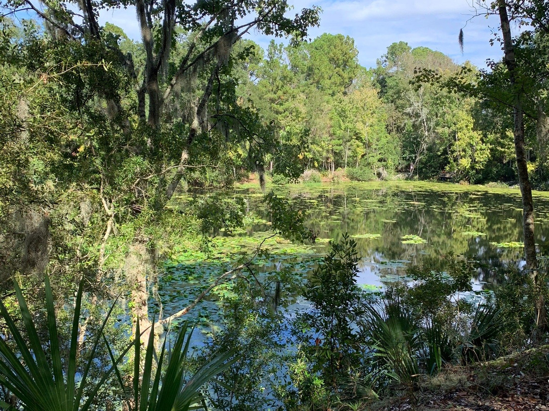 Jacksonville Arboreteum & Gardens景点图片