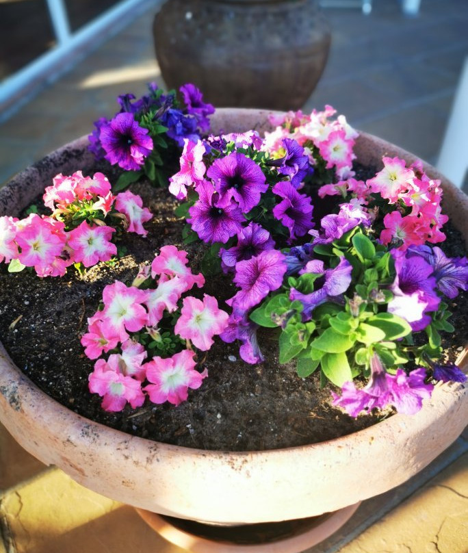 Lakeside Lodge主图