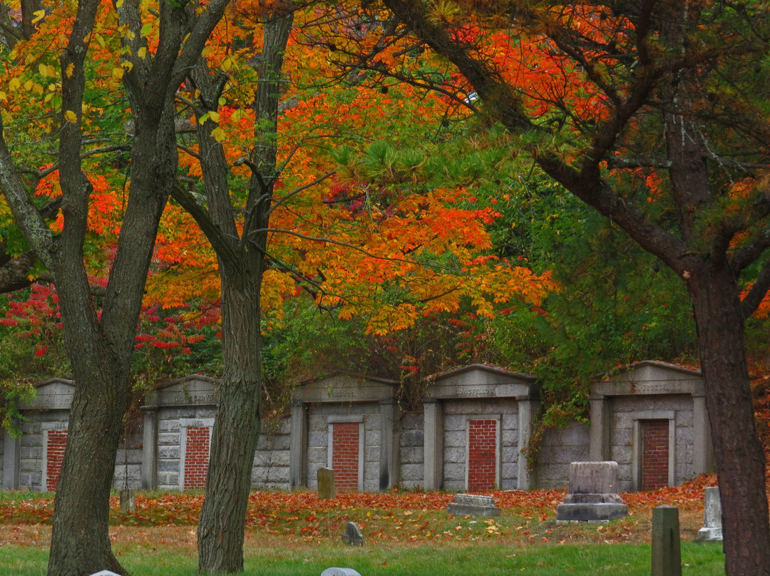 Western Cemetery景点图片